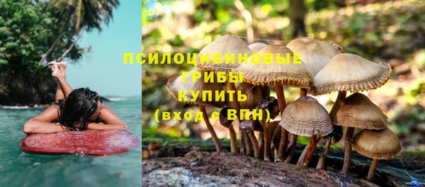 скорость mdpv Белокуриха