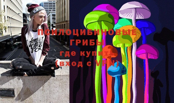 бошки Беломорск