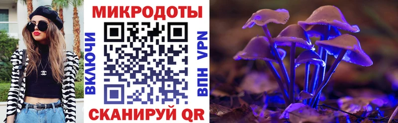 Галлюциногенные грибы Psilocybe  Ворсма 